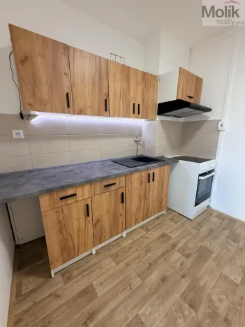 Pronájem bytu 2+kk, Most, Lipová, 49 m2