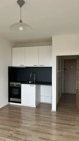 Pronájem bytu 1+kk, Praha - Záběhlice, Jabloňová, 25 m2