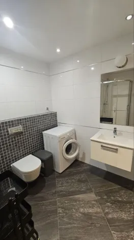 Pronájem bytu 2+kk, Praha - Žižkov, Olšanská, 50 m2