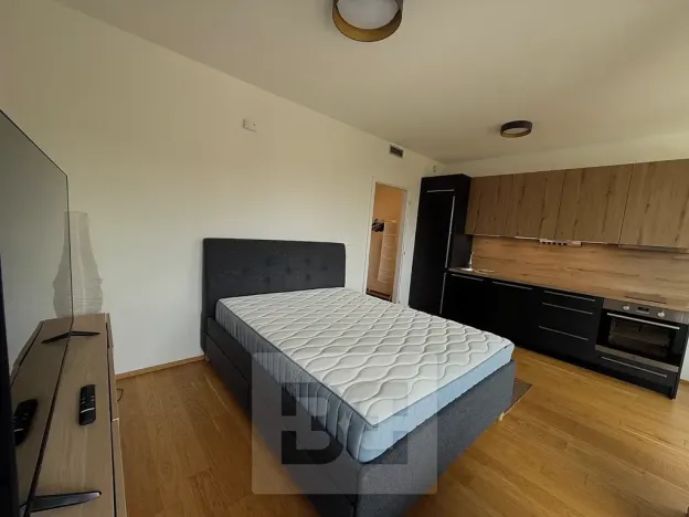 Pronájem bytu 1+kk, Praha - Strašnice, Na palouku, 32 m2