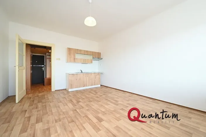 Pronájem bytu 1+kk, Praha - Vinohrady, Fričova, 32 m2