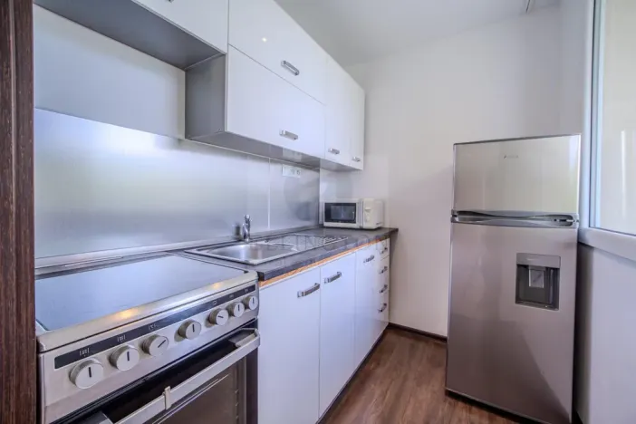 Prodej bytu 1+kk, Praha - Michle, Podle Kačerova, 29 m2