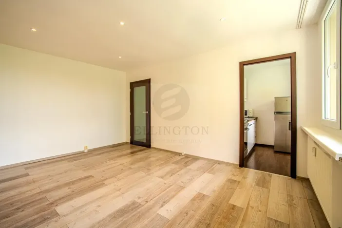 Prodej bytu 1+kk, Praha - Michle, Podle Kačerova, 29 m2