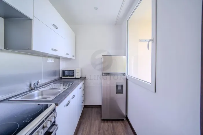 Prodej bytu 1+kk, Praha - Michle, Podle Kačerova, 29 m2
