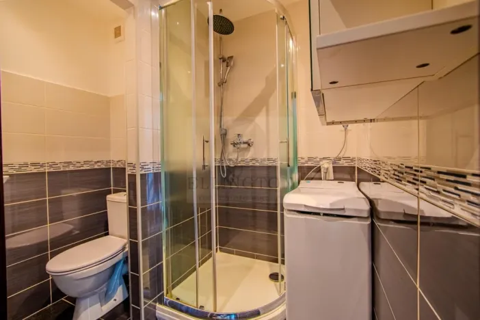Prodej bytu 1+kk, Praha - Michle, Podle Kačerova, 29 m2