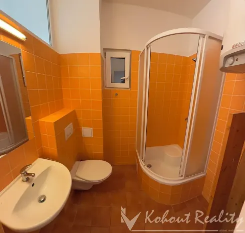 Pronájem bytu 1+kk, Praha - Strašnice, Vykáňská, 31 m2