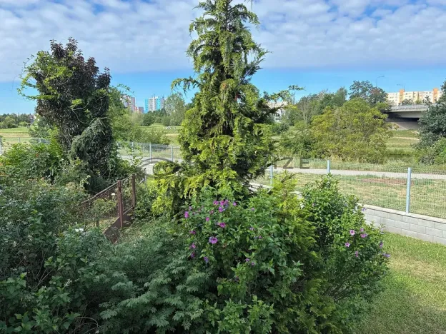 Pronájem bytu 3+1, České Budějovice, V Oblouku, 80 m2