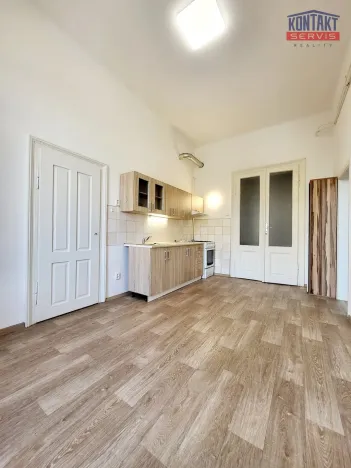 Pronájem bytu 1+1, České Budějovice - České Budějovice 3, 53 m2