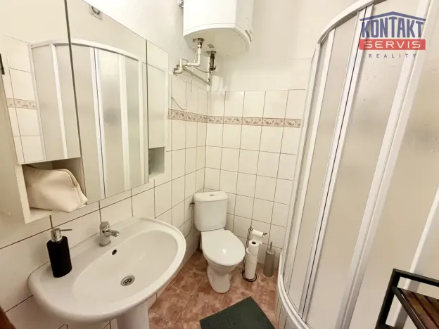 Pronájem bytu 2+1, České Budějovice - České Budějovice 3, 60 m2