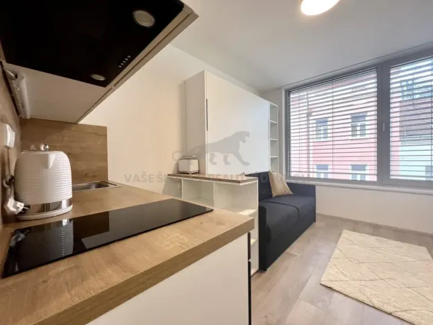 Pronájem bytu 1+kk, Praha - Smíchov, Plzeňská, 20 m2