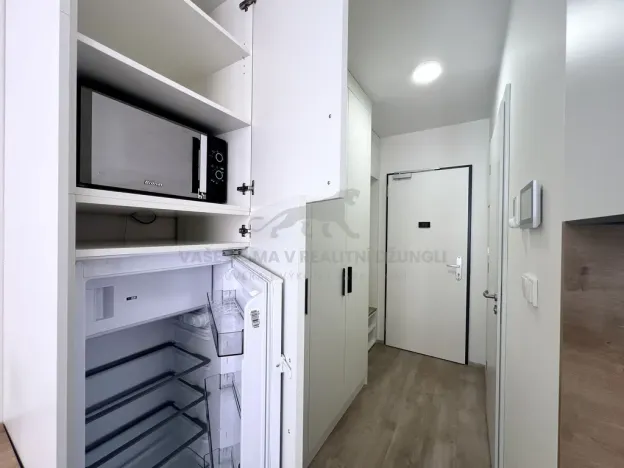 Pronájem bytu 1+kk, Praha - Smíchov, Plzeňská, 20 m2