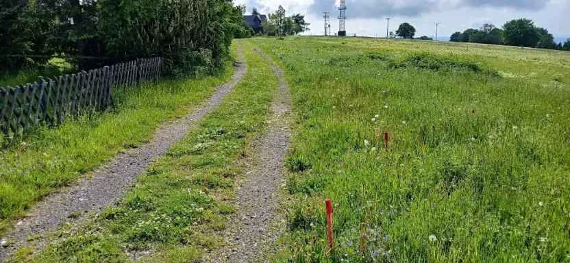 Prodej pozemku pro bydlení, Osek, 1013 m2