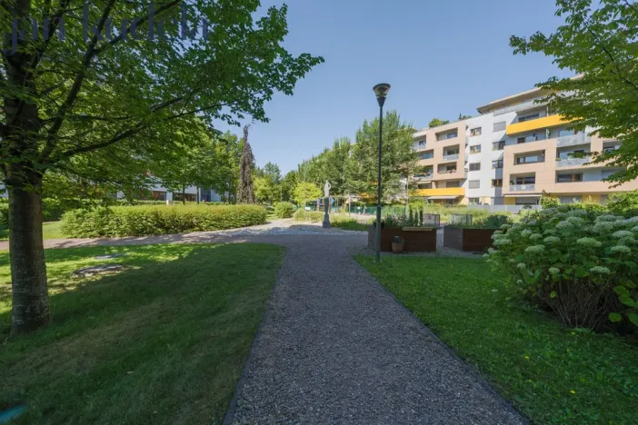 Pronájem bytu 2+kk, Brno, Sochorova, 52 m2