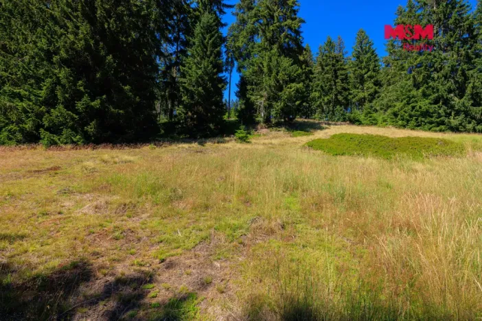 Prodej pozemku pro bydlení, Nové Hamry, 776 m2