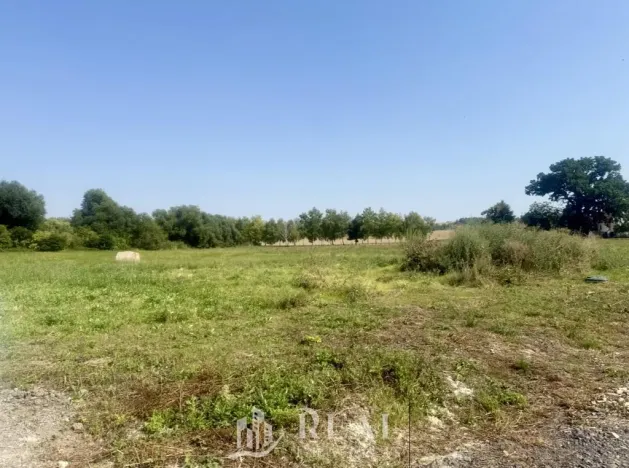 Prodej pozemku pro bydlení, Cítoliby, Na Aleji, 995 m2