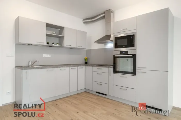 Prodej bytu 2+kk, Plzeň - Jižní Předměstí, Železná, 81 m2