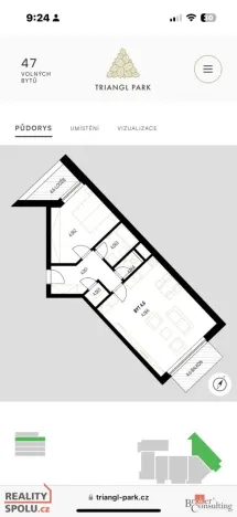 Prodej bytu 2+kk, Plzeň - Jižní Předměstí, Železná, 81 m2