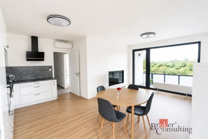 Pronájem bytu 3+kk, Plzeň - Východní Předměstí, Kartónová, 104 m2