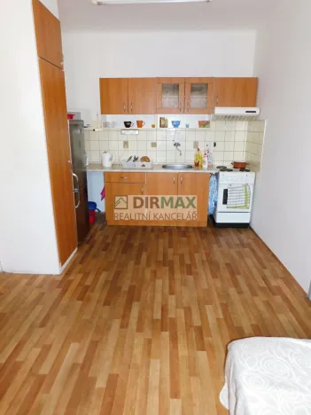 Pronájem bytu 1+1, Plzeň - Východní Předměstí, Guldenerova, 40 m2