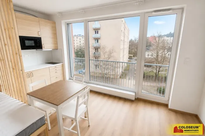 Pronájem bytu 1+kk, Brno - Staré Brno, 27 m2