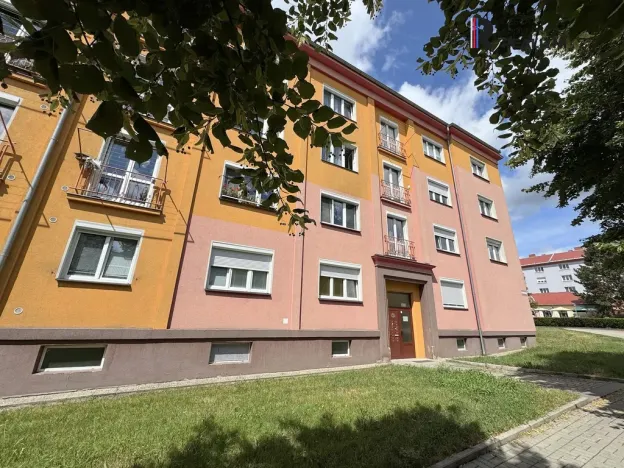 Pronájem bytu 2+1, Ostrov, S. K. Neumanna, 56 m2