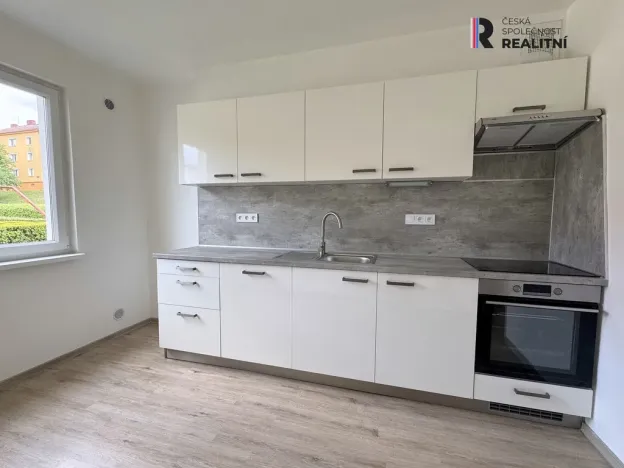 Pronájem bytu 2+1, Ostrov, S. K. Neumanna, 56 m2