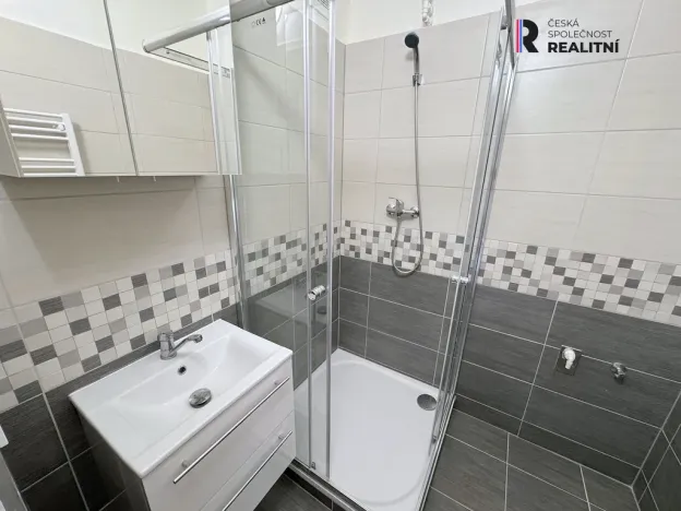 Pronájem bytu 2+1, Ostrov, S. K. Neumanna, 56 m2
