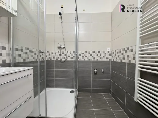 Pronájem bytu 2+1, Ostrov, S. K. Neumanna, 56 m2