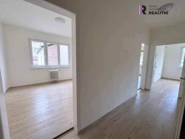 Pronájem bytu 2+1, Ostrov, S. K. Neumanna, 56 m2
