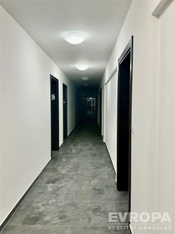 Pronájem bytu 2+kk, Olomouc, 88 m2