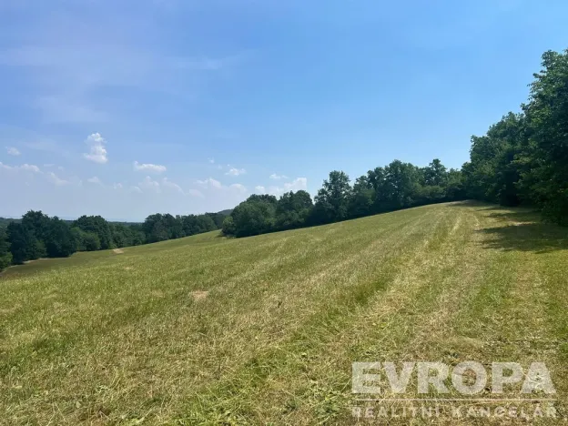Prodej pozemku pro bydlení, Bílá Lhota, 3479 m2