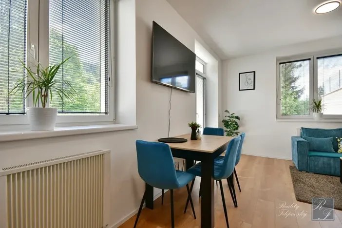 Prodej bytu 2+kk, Kraslice, 40 m2