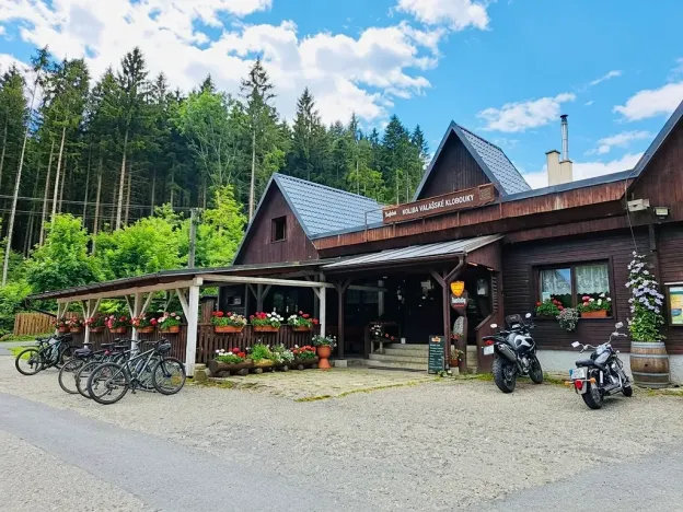 Prodej komerční nemovitosti, Valašské Klobouky, Brumovská, 467 m2