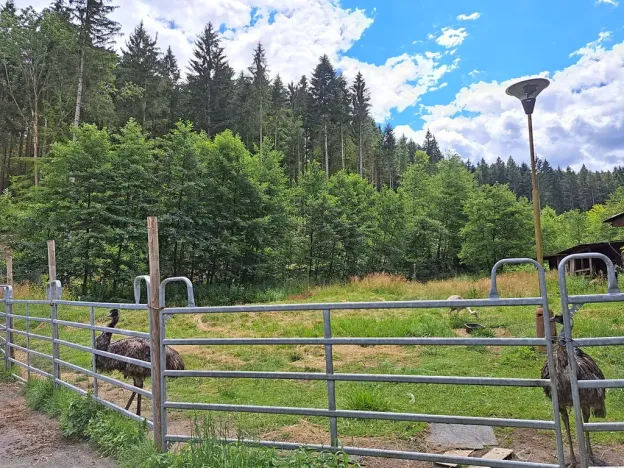 Prodej komerční nemovitosti, Valašské Klobouky, Brumovská, 467 m2