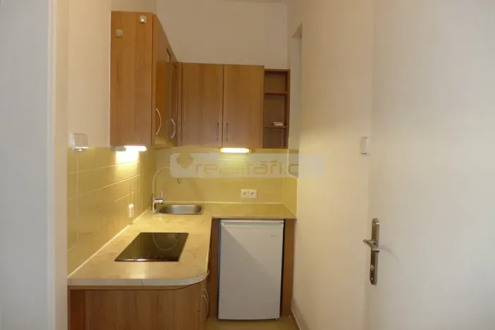 Pronájem bytu 1+kk, Plzeň - Jižní Předměstí, Na Jíkalce, 30 m2