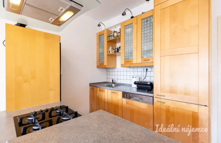 Pronájem bytu 3+kk, Praha - Krč, Olbrachtova, 56 m2