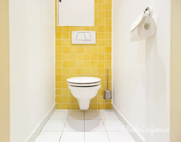 Pronájem bytu 3+kk, Praha - Krč, Olbrachtova, 56 m2