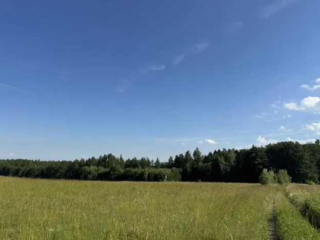 Prodej lesa, Jestřebí, 21583 m2