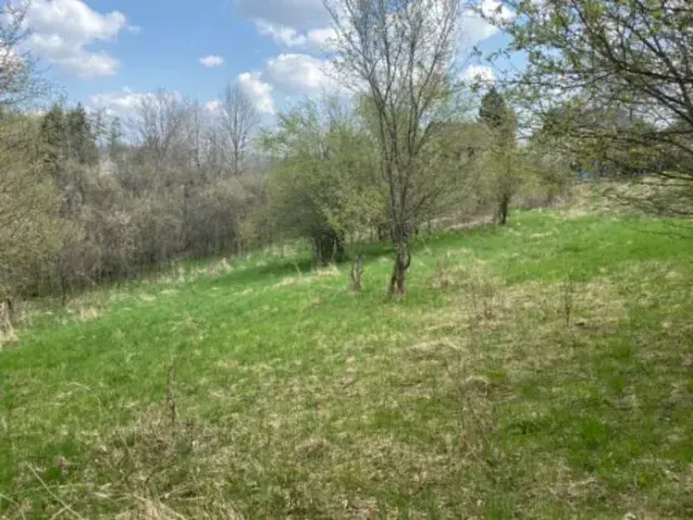 Prodej pozemku pro bydlení, Sázava, 7630 m2