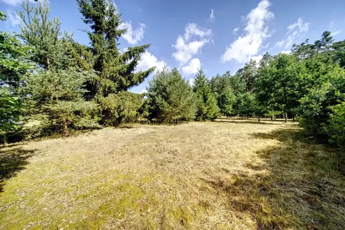 Prodej pozemku pro bydlení, Pňovany, 1096 m2