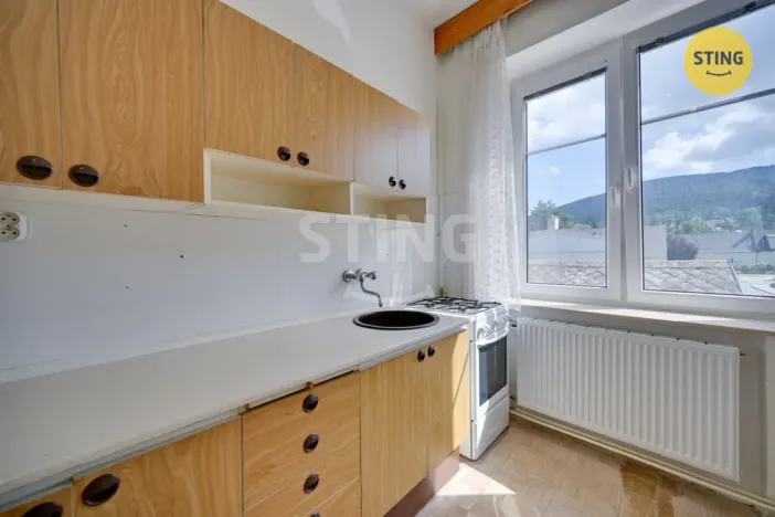 Prodej bytu 1+1, Jeseník, Školní, 73 m2