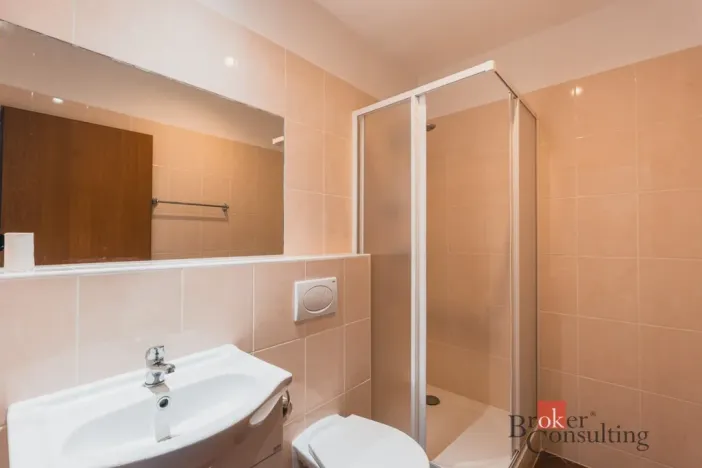 Prodej rodinného domu, Karlovy Vary - Drahovice, Stará Kysibelská, 400 m2