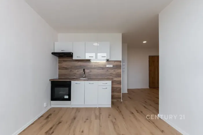 Pronájem bytu 2+kk, Most, Lidická, 33 m2