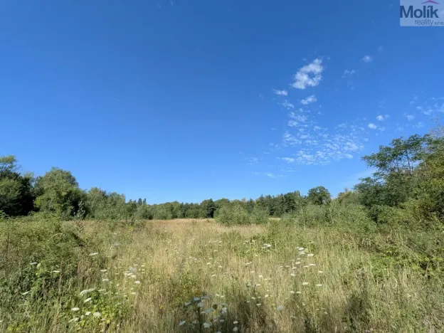 Prodej pozemku pro bydlení, Mariánské Radčice, Československé armády, 890 m2
