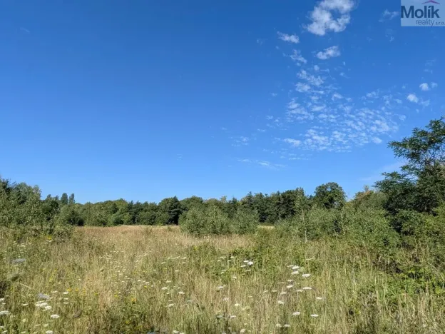 Prodej pozemku pro bydlení, Mariánské Radčice, Československé armády, 890 m2