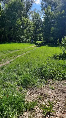 Prodej rybníku, Bulhary, 350 m2