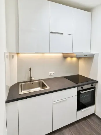 Pronájem bytu 2+1, Praha - Vysočany, U vysočanského pivovaru, 50 m2