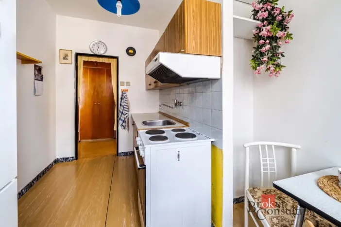 Prodej bytu 2+1, Praha - Záběhlice, U mlýna, 85 m2