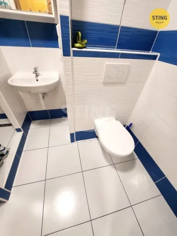 Pronájem bytu 1+1, Přerov, U Tenisu, 39 m2