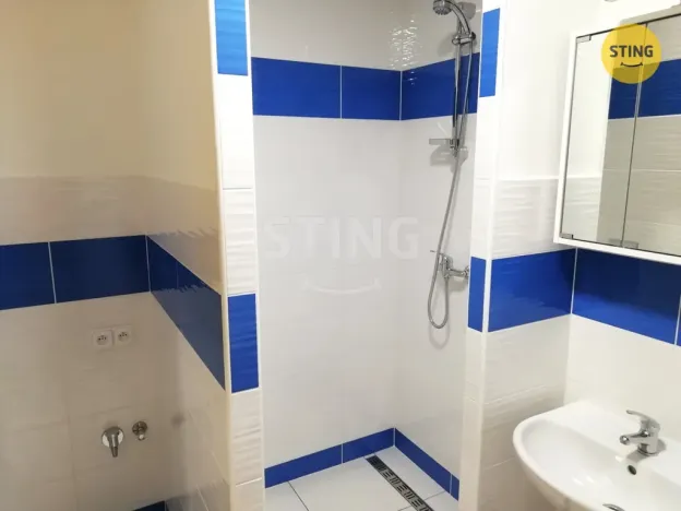 Pronájem bytu 1+1, Přerov, U Tenisu, 39 m2